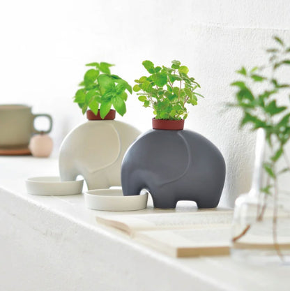 Eleplant – Cache-pot auto-arrosant en céramique (avec graines) Boutique Noted 