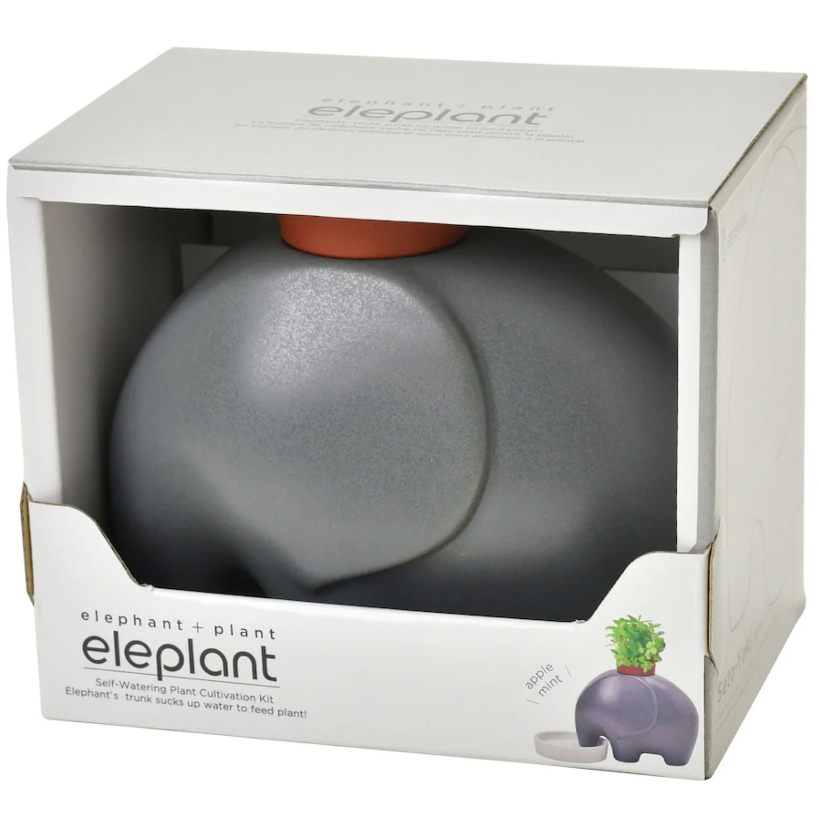 Eleplant – Cache-pot auto-arrosant en céramique (avec graines) Boutique Noted Gris 