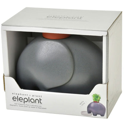 Eleplant – Cache-pot auto-arrosant en céramique (avec graines) Boutique Noted Gris 