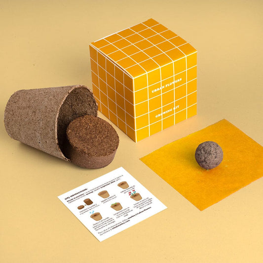 Kit à planter Urban Flowers - Resetea Boutique Resetea Jaune 