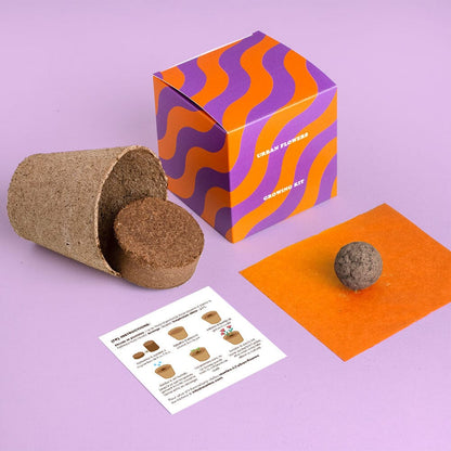 Kit à planter Urban Flowers - Resetea Boutique Resetea Orange 