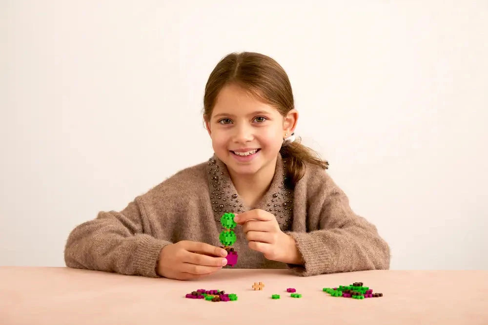 Pop Plantes, Buis - Plus-Plus Boutique Plus-Plus 