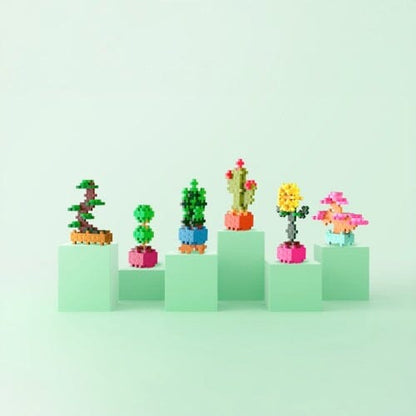Pop Plantes, Succulente - Plus-Plus Boutique Plus-Plus 