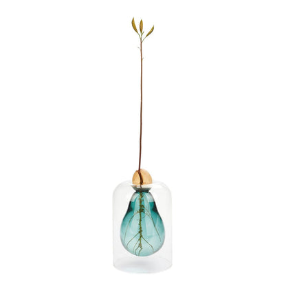Vase pour germination Boutique Balvi 
