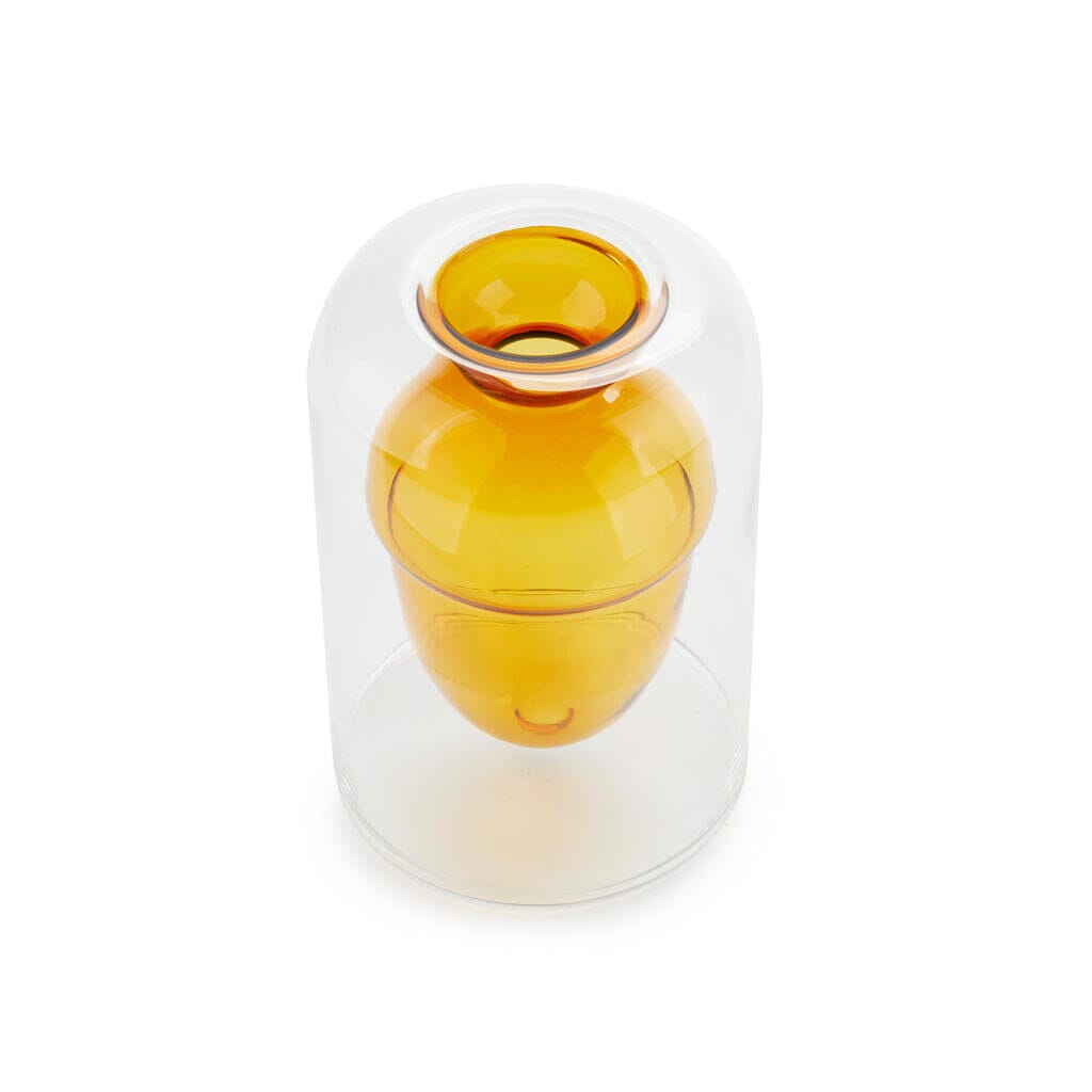 Vase pour germination Boutique Balvi 