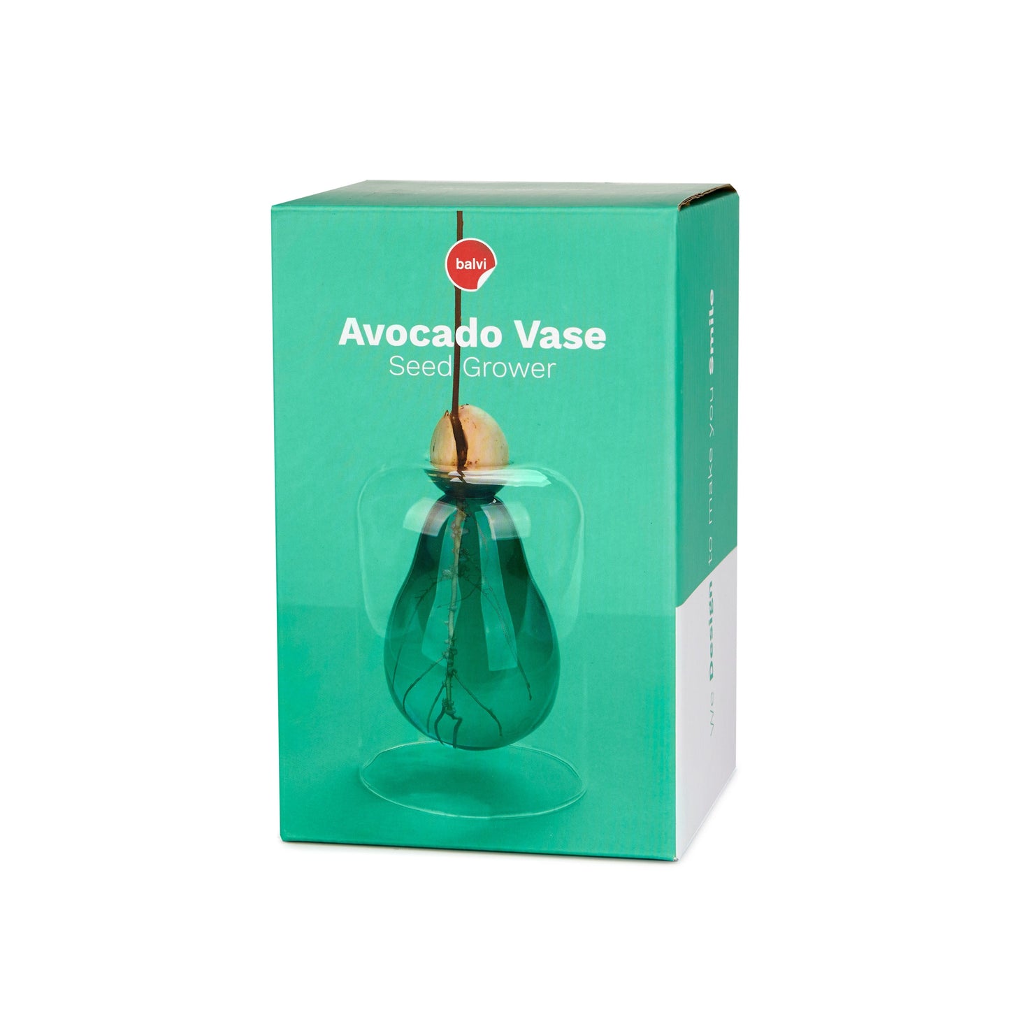 Vase pour germination Boutique Balvi 