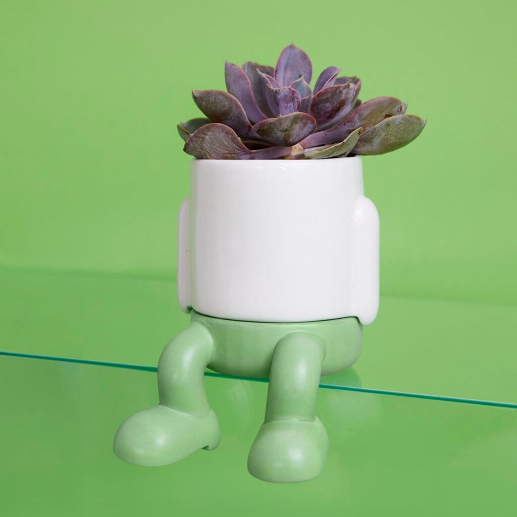 Mini pot de fleur Mr Dangly - Missa Arles