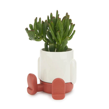 Mini pot de fleur Mr Sitty - Missa Arles